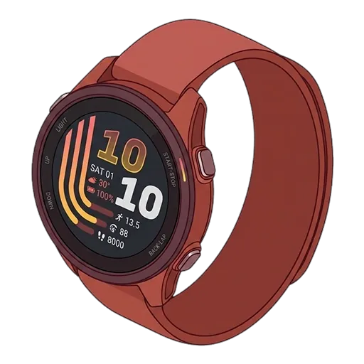 Forerunner 305