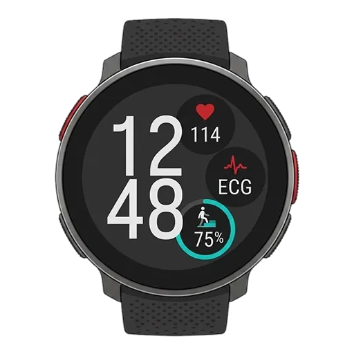 Polar ポラール Vantage V3のピクセルアート